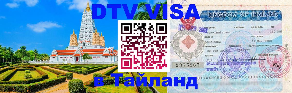 Сколько стоит DTV виза — актуальные цены, оформление даже без документов - Приштина 